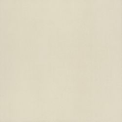 American Olean Neoconcrete White