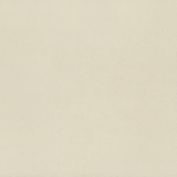American Olean Neoconcrete White