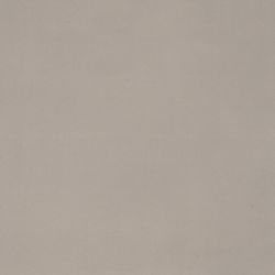 American Olean Neoconcrete Light Gray