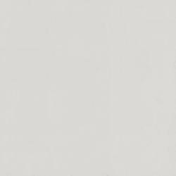 Daltile One Quartz - Monochromatic Look White Ice