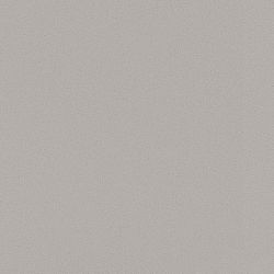 Daltile One Quartz - Monochromatic Look Simply Grey