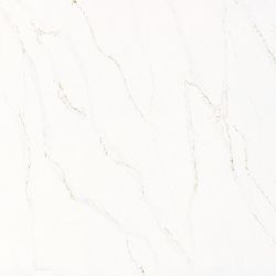 Daltile One Quartz - Marble Look Calacatta Alabaster