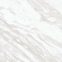 Daltile Perpetuo Timeless White