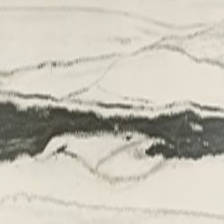 Daltile Vertuo Stria Bravura