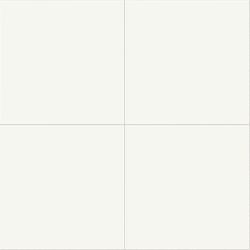 Daltile Vitruvian White Matte