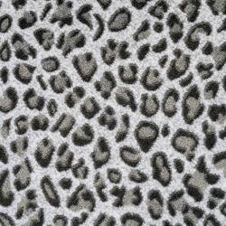 Kane Carpet Basilisk Natural History