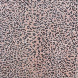 Kane Carpet Ceremony Amazon