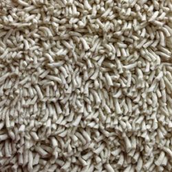 Kane Carpet Scopare Ivory