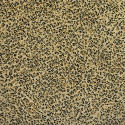 Kane Carpet Sophisticated Skins Kohl