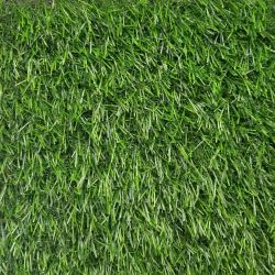 Kane Carpet Venice 3496 Grass 230