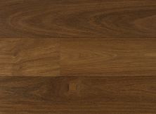 Lasting Luxury Passport Solid Brazilian Chestnut PPT3442000BCH