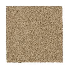 Mohawk Ultrastrand Coastal Vision III Shoreline 3D45-754