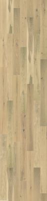 Shaw Floors Floorte Exquisite Flaxen Oak 01084_FH820