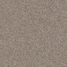 Shaw Floors Anso Colorwall Gold Texture Tonal Park Avenue 00194_EA578