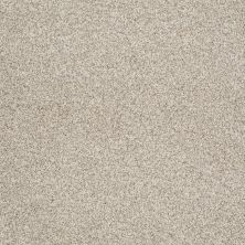Shaw Floors ANSO COLORWALL Gold Texture Tonal Anchorage 00192_EA578