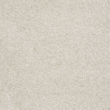 Shaw Floors Anso Colorwall Gold Texture Tonal Denali 00290_EA578