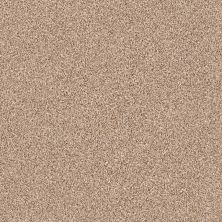 Shaw Floors Anso Colorwall Gold Texture Tonal Hidden Treasure 00791_EA578