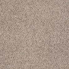 Shaw Floors ANSO COLORWALL Gold Texture Accents Art District 00186_EA759