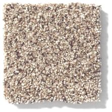 Shaw Floors ANSO COLORWALL Platinum Texture Accents Art District 00186_EA760