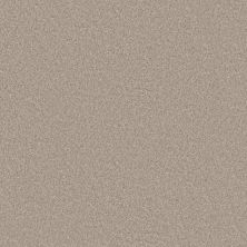 Shaw Floors Pet Perfect You Got This III Subtle Clay 00114_5E562