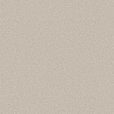 Shaw Floors Pet Perfect You Got This III Warm Light 00116_5E562