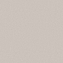 Shaw Floors Pet Perfect You Got This III Snowfall 00150_5E562