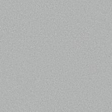 Shaw Floors PET PERFECT You Got This III Serene Blue 00453_5E562