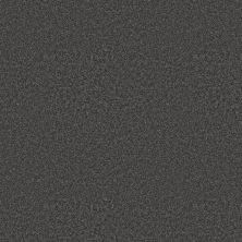 Shaw Floors Pet Perfect You Got This III Shadow 00502_5E562