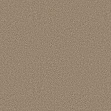 Shaw Floors Pet Perfect You Got This III Worn Path 00700_5E562