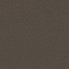 Shaw Floors Pet Perfect You Got This III Urban Rustic 00708_5E562