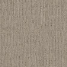 Shaw Floors Sfn Sweet Memories Natural Sisal 00705_EA098