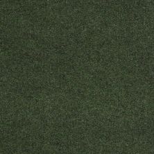Philadelphia Commercial WINDSURF Simply Green 00300_54688