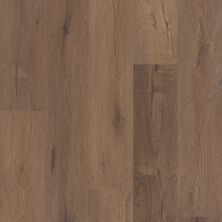 Resilient Residential COREtec Originals Premium Vv810 Cerith Oak 04027_VV810