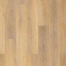 Resilient Residential COREtec Pro Enhanced Vv488 Canterbury Elm 02093_VV488