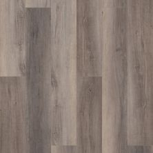 Resilient Residential COREtec Pro Enhanced Vv488 Berkshire Elm 02097_VV488