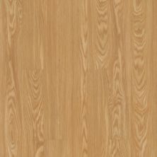 Resilient Residential COREtec Originals Classics Vv023 Rocky Mountain Oak 00207_VV023