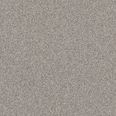 Shaw Floors Affirmation I Shaved Ice Carpet 00510_5E794