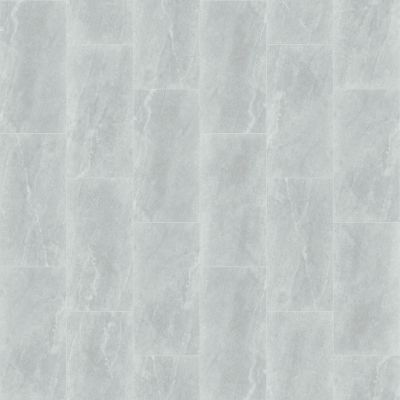 Shaw Floors Arena 12x24 Silver Tile 00150_221TS