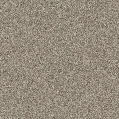 Shaw Floors Affirmation I Plateau Carpet 00110_5E794