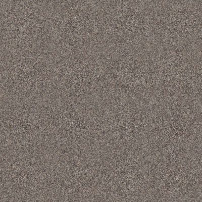 Shaw Floors Affirmation I Granite Carpet 00513_5E794