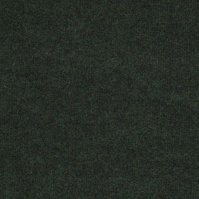 Philadelphia Commercial Backdrop I 6 Forest Night Carpet 00300_54682