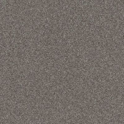 Shaw Floors Affirmation I Rush Hour Carpet 00501_5E794