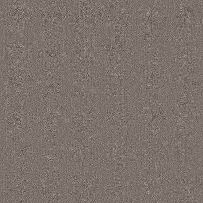 Shaw Anso Colorwall Canvas Comfort Blue Natural Fit Carpet 00751_5E660
