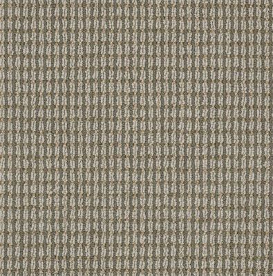 Anderson Tuftex Abbeys Road Boundless Carpet 00526_ZZ013