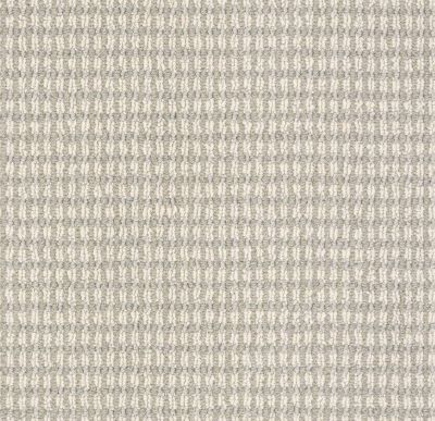 Anderson Tuftex Abbeys Road Island Fog Carpet 00542_ZZ013