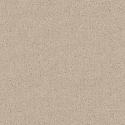 Shaw Anso Colorwall Canvas Comfort Blue Happy Place Carpet 00123_5E660