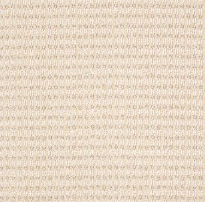 Anderson Tuftex Abbeys Road Aura Carpet 00212_ZZ013
