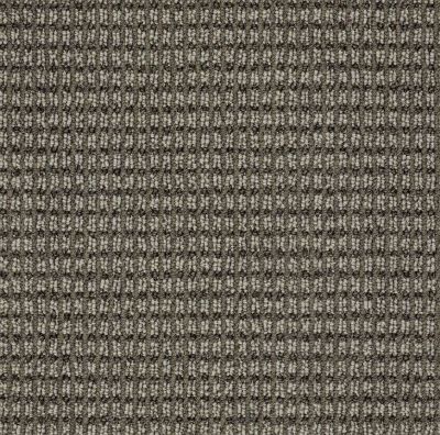 Anderson Tuftex Abbeys Road Stylish Gray Carpet 00573_ZZ013