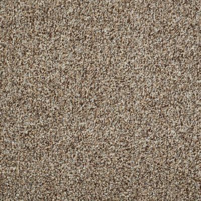 Philadelphia Commercial Arbor View T Brown Sugar Carpet 00710_54625