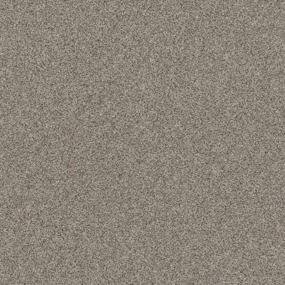 Shaw Floors Affirmation I Bistro Carpet 00111_5E794